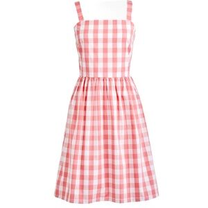 J.Crew Factory Pink Gingham Apron Dress